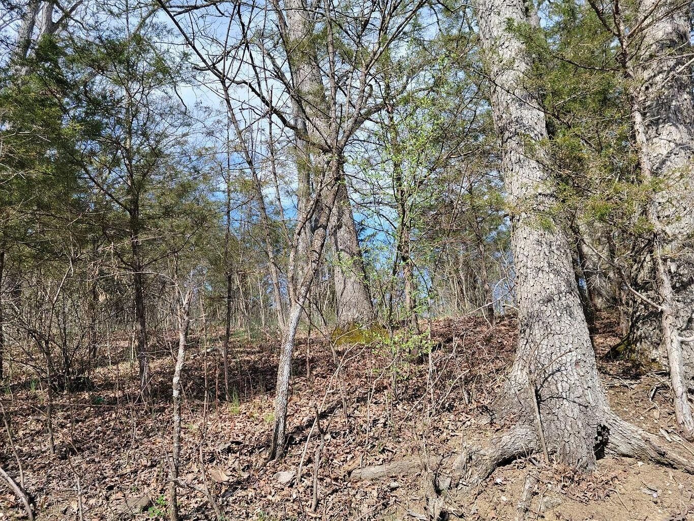 0 Union Ridge Rd Frankfort, KY 40601 - Thumbnail 4