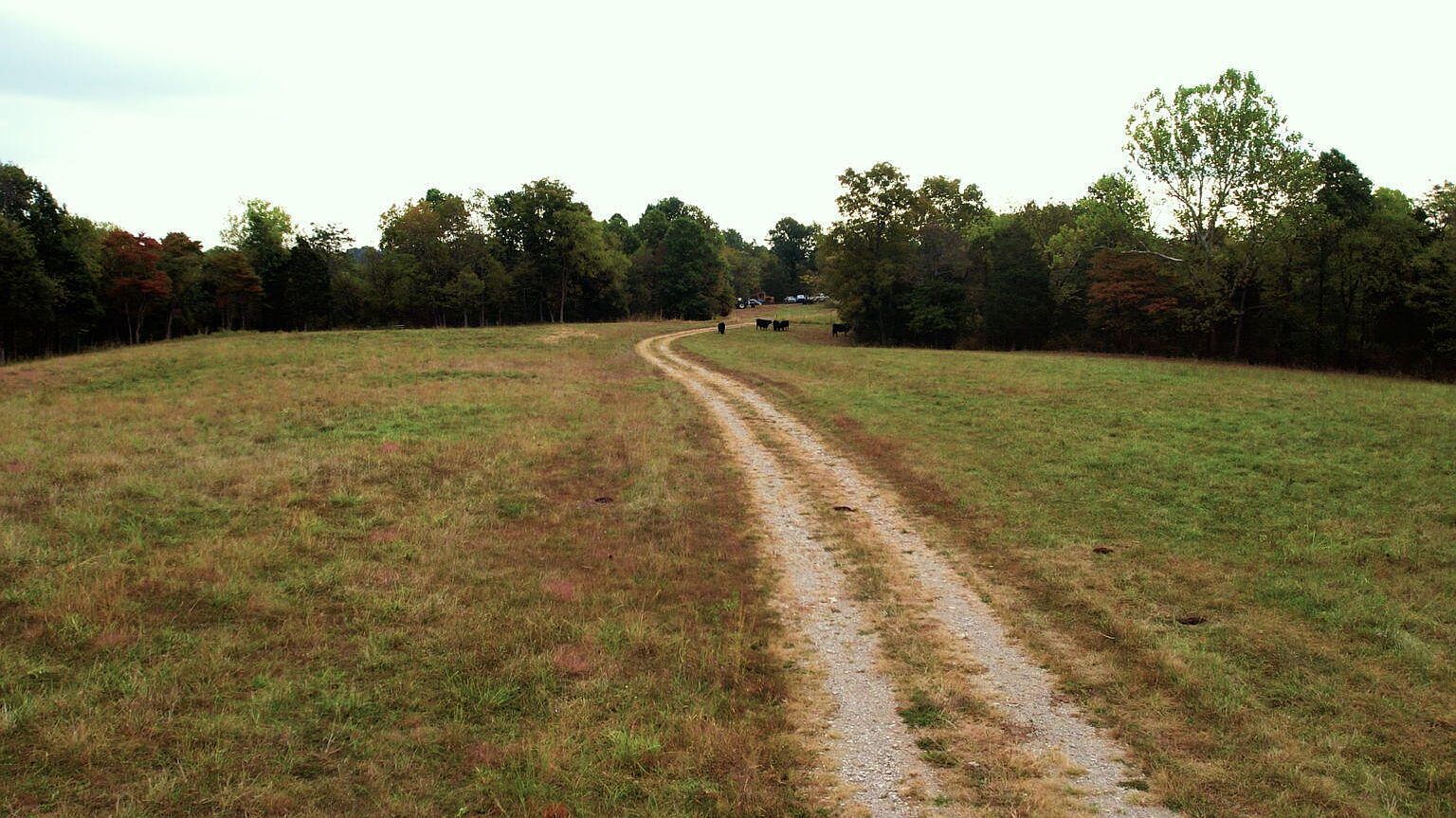 0 W 42nd Hwy, Bedford, KY, 40006 - Thumbnail 4