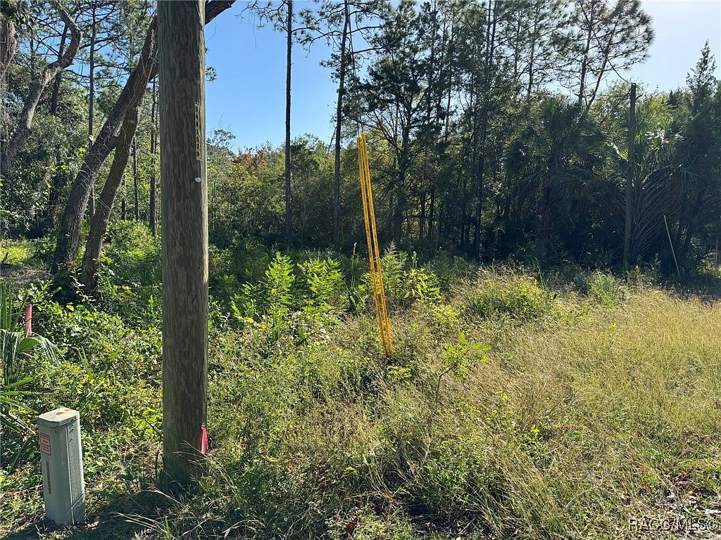 7897 W Stuart Ln Homosassa, FL 34448 - Thumbnail 4