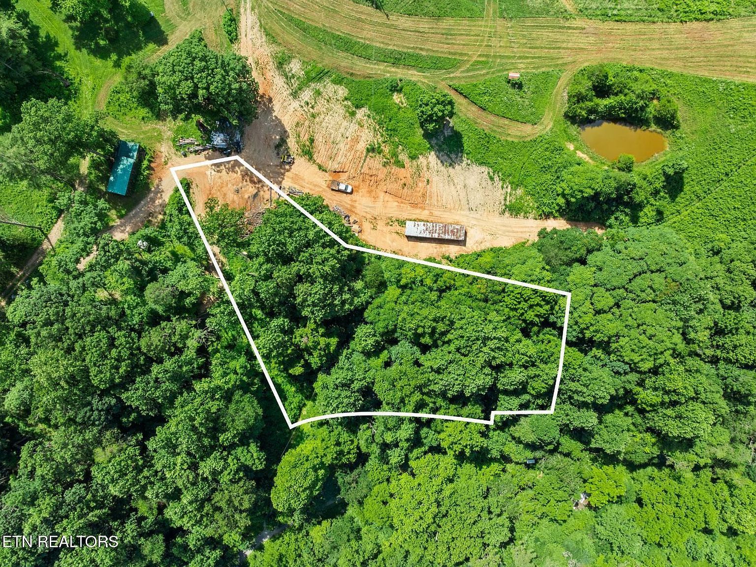 174 Old Ivey Hollow Rd La Follette, TN 37766 - Thumbnail 4