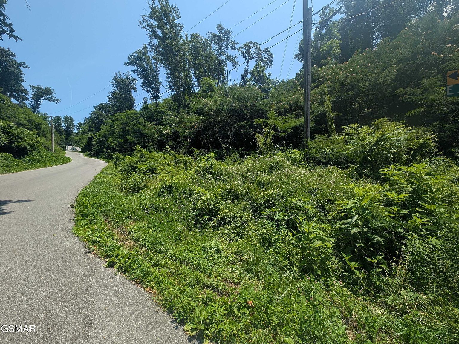 0 Beech Branch Rd, Gatlinburg, TN, 37738 - Thumbnail 4