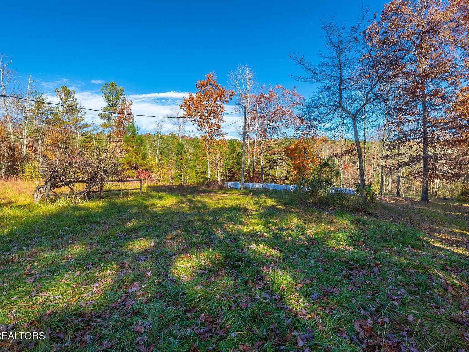 450 Hickory Rd Spring City, TN 37381 - Thumbnail 4