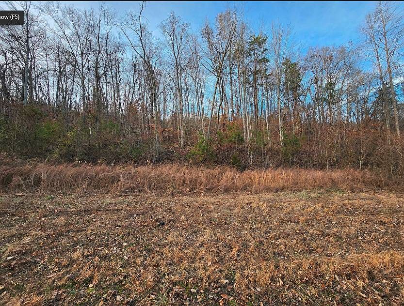 0 Ensor Church Hill, TN 37642 - Thumbnail 4