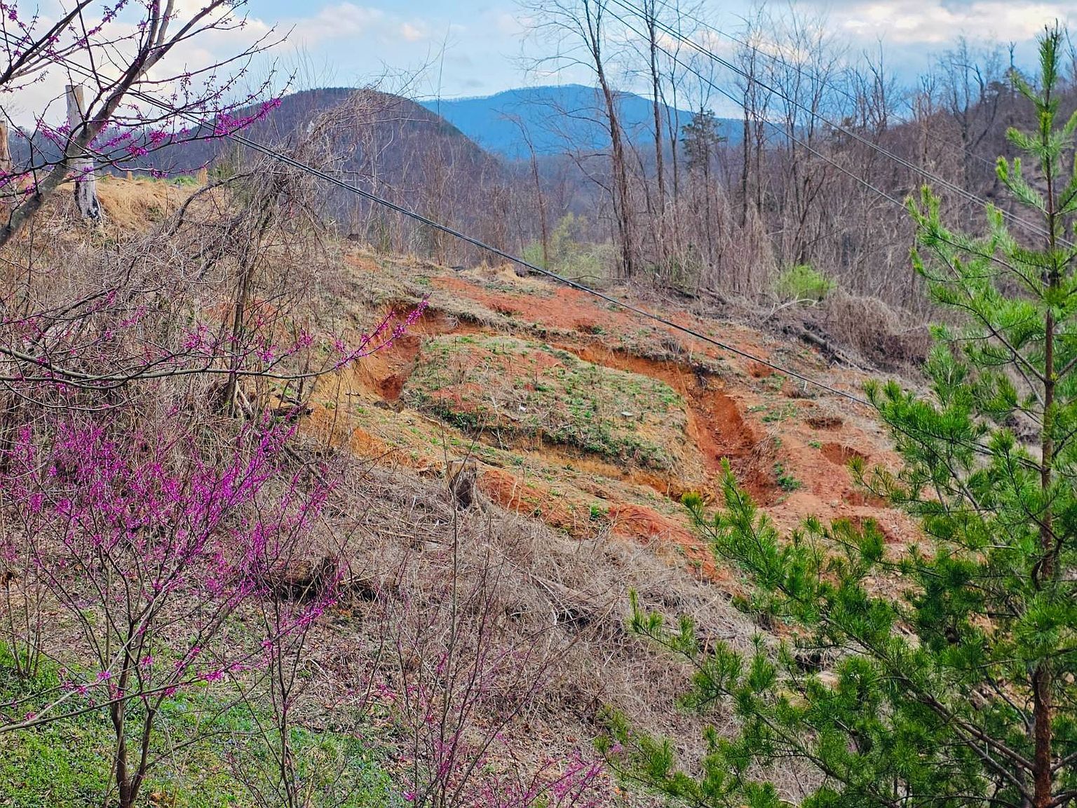 792 Davenport Rd Gatlinburg, TN 37738 - Thumbnail 4