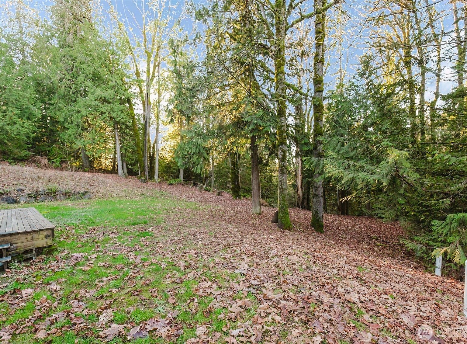 360 E Rasor Rd Belfair, WA 98528 - Thumbnail 4