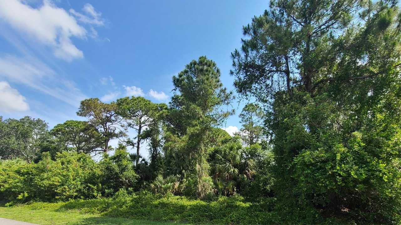 Kowal Ave, North Port, FL 34288, USA - Thumbnail 4