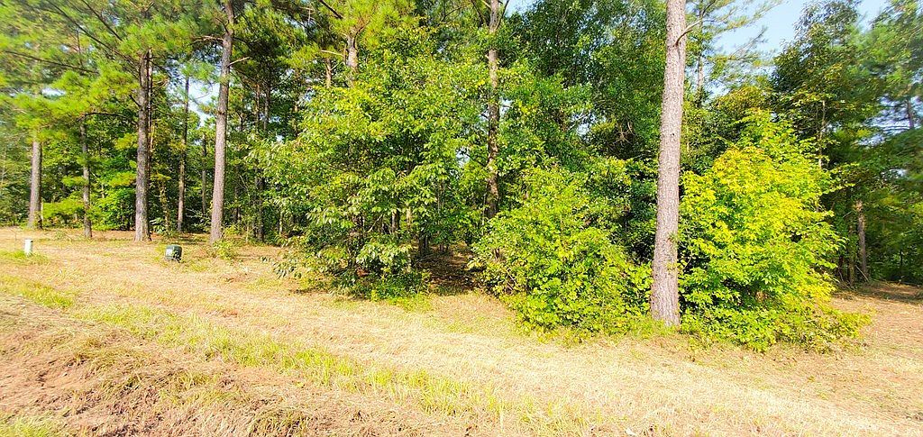 LOT-13A Mountain View Way Bainbridge, GA 39819 - Thumbnail 4