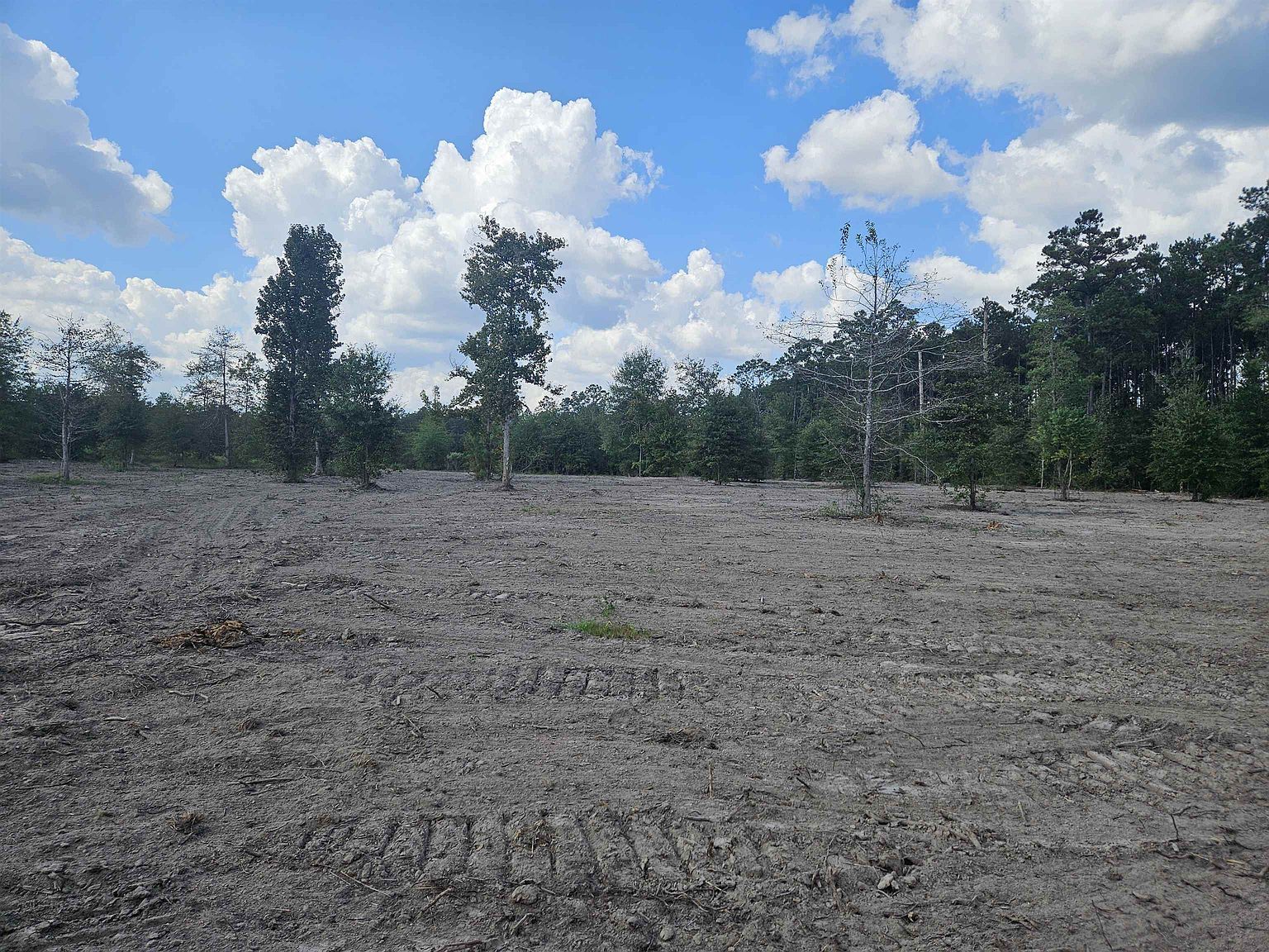 8 Marcantel Rd Dequincy, LA 70633 - Thumbnail 4