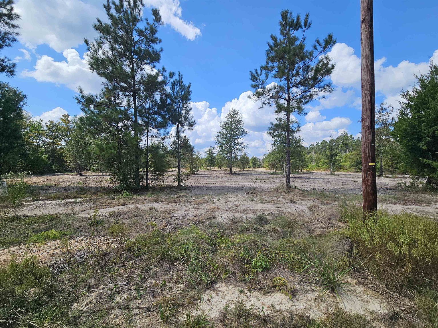 7 Marcantel Rd Dequincy, LA 70633 - Thumbnail 4