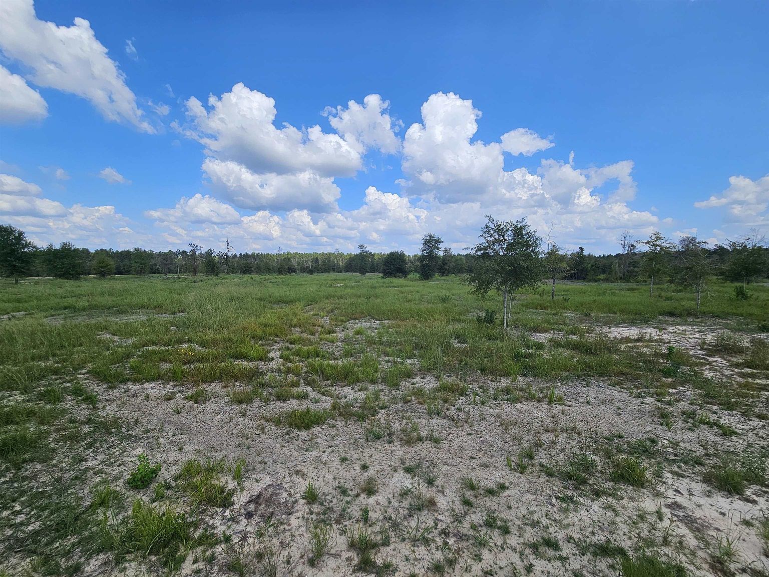 3 Route 66 Dequincy, LA 70633 - Thumbnail 4