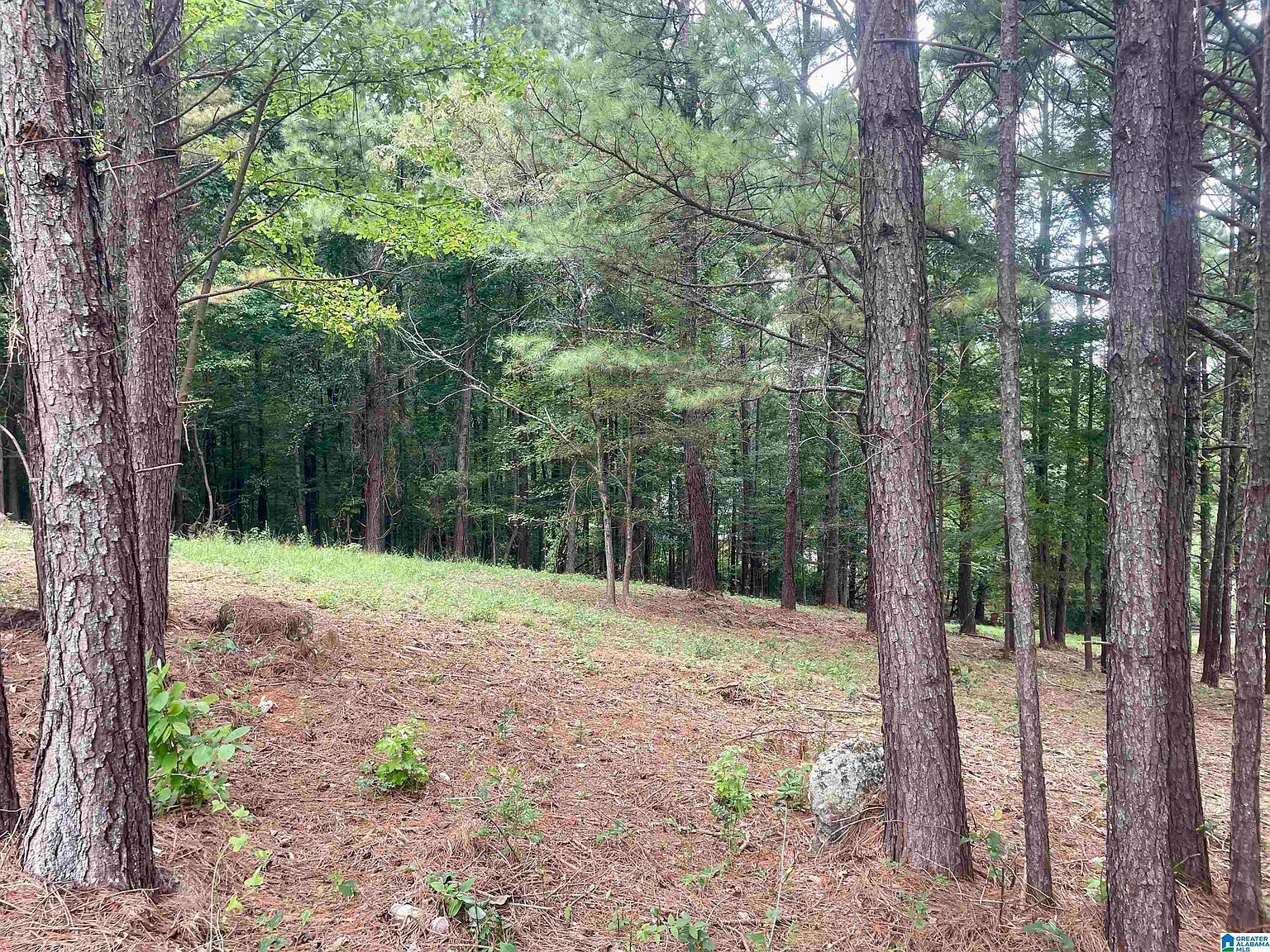 1820 Village Springs Rd Springville, AL 35146 - Thumbnail 4