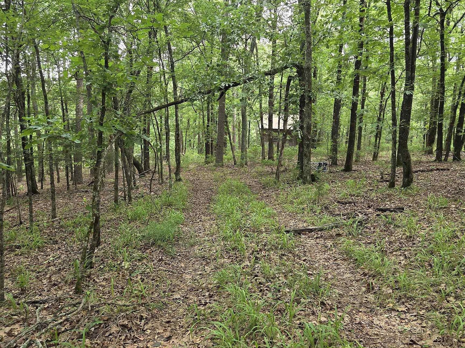 301 Chaparral Ln Mena, AR 71953 - Thumbnail 4