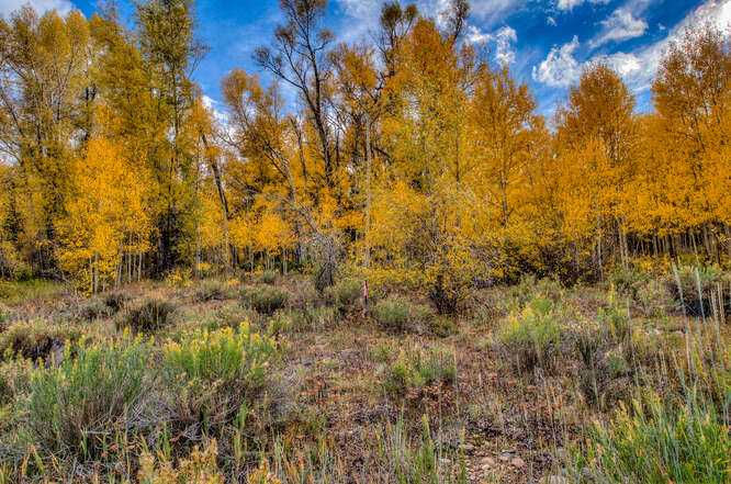 285 Game Trail Road, Silverthorne, Colorado, USA, Silverthorne, CO, 80498 - Thumbnail 4