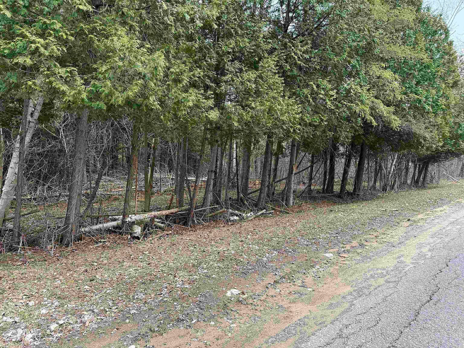 Brown Church Rd Lisbon, NY 13658 - Thumbnail 4