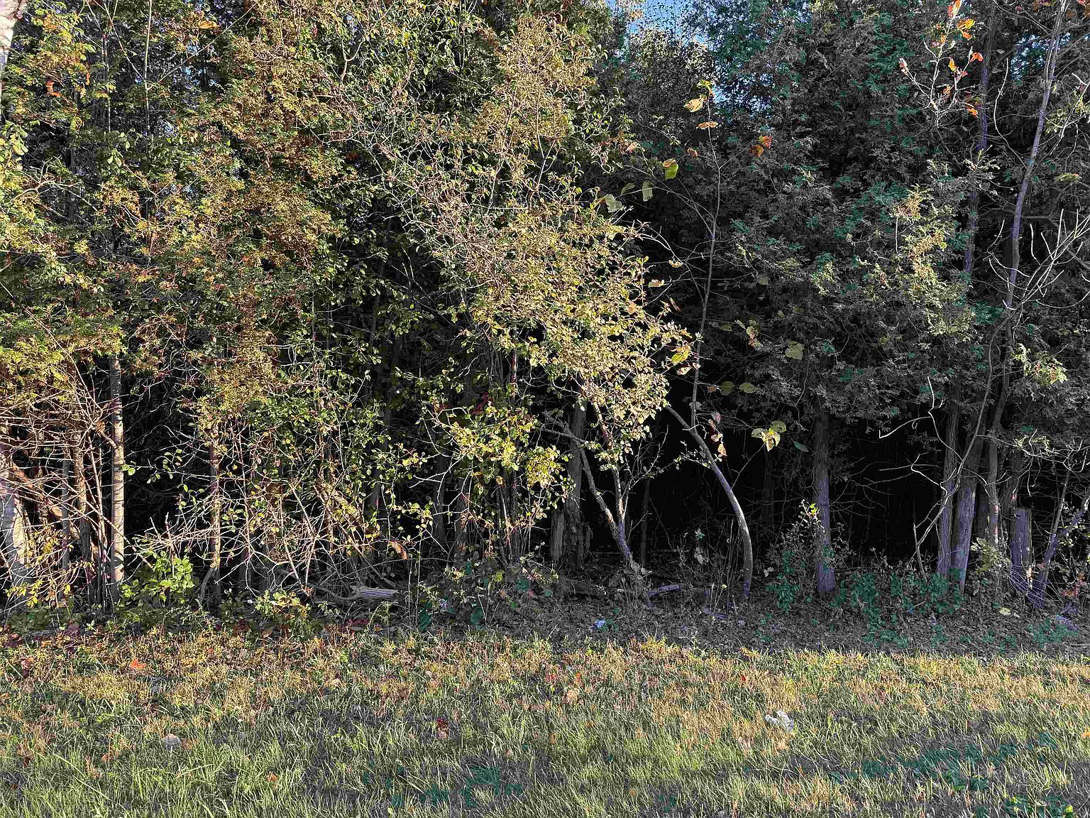 49 County Rte Winthrop, NY 13697 - Thumbnail 4