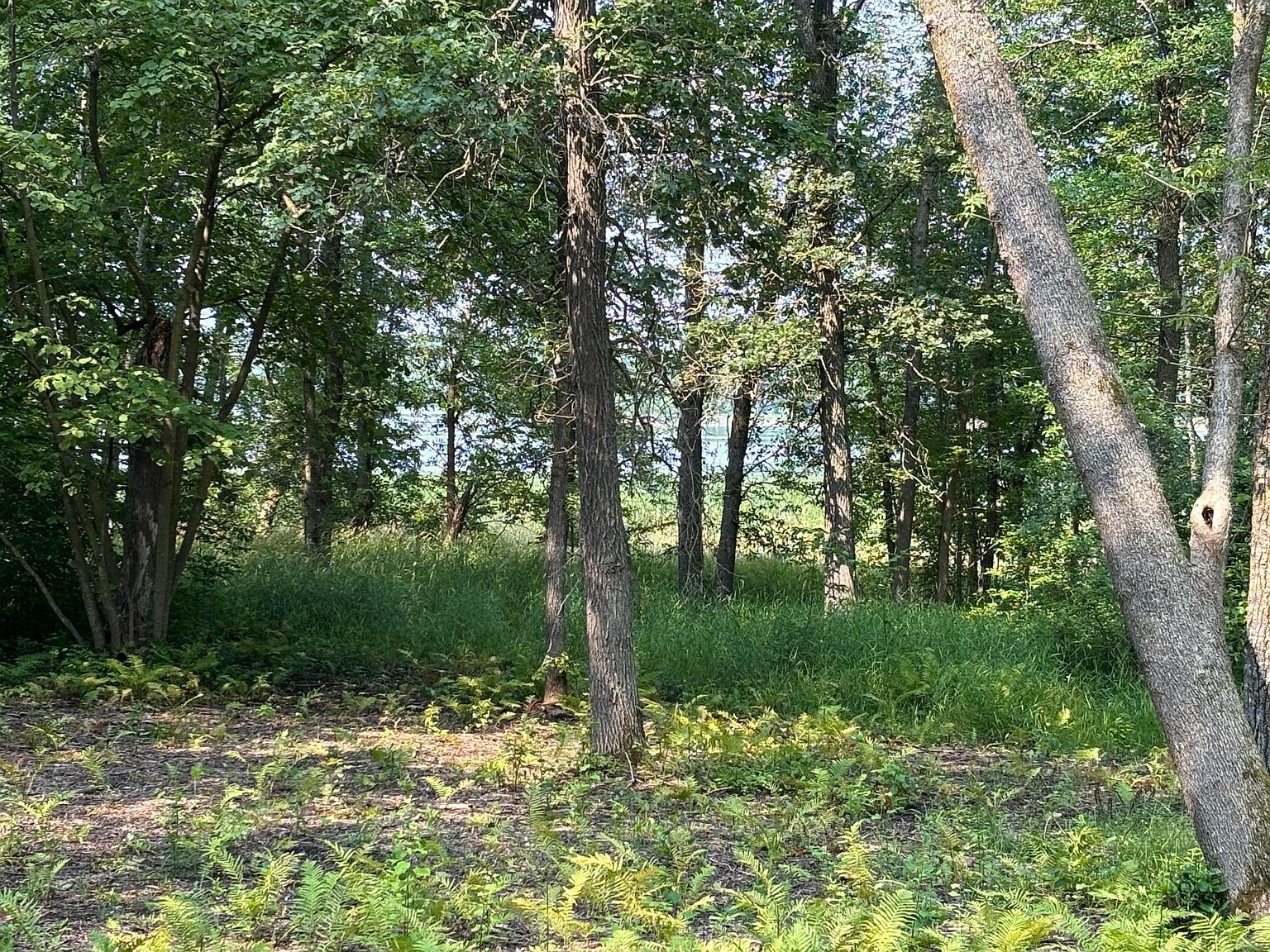 1250 Island Lake Resort Dr Lengby, MN 56651 - Thumbnail 4