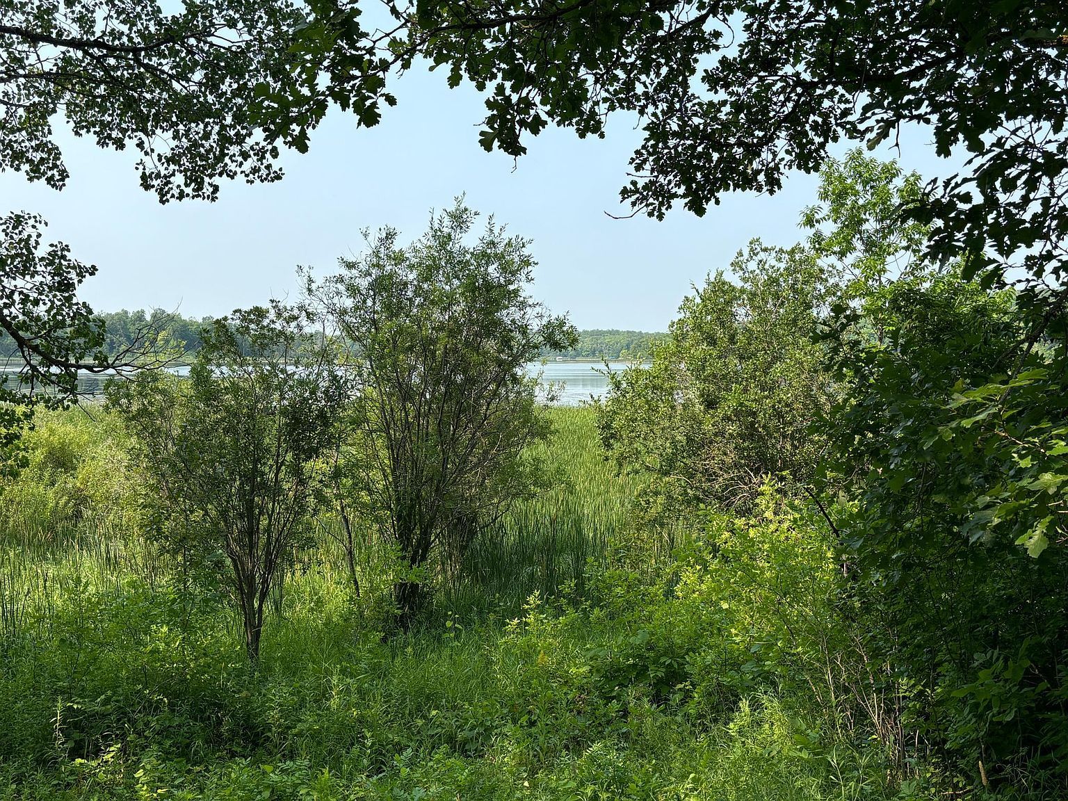 1246 Island Lake Resort Dr Lengby, MN 56651 - Thumbnail 4