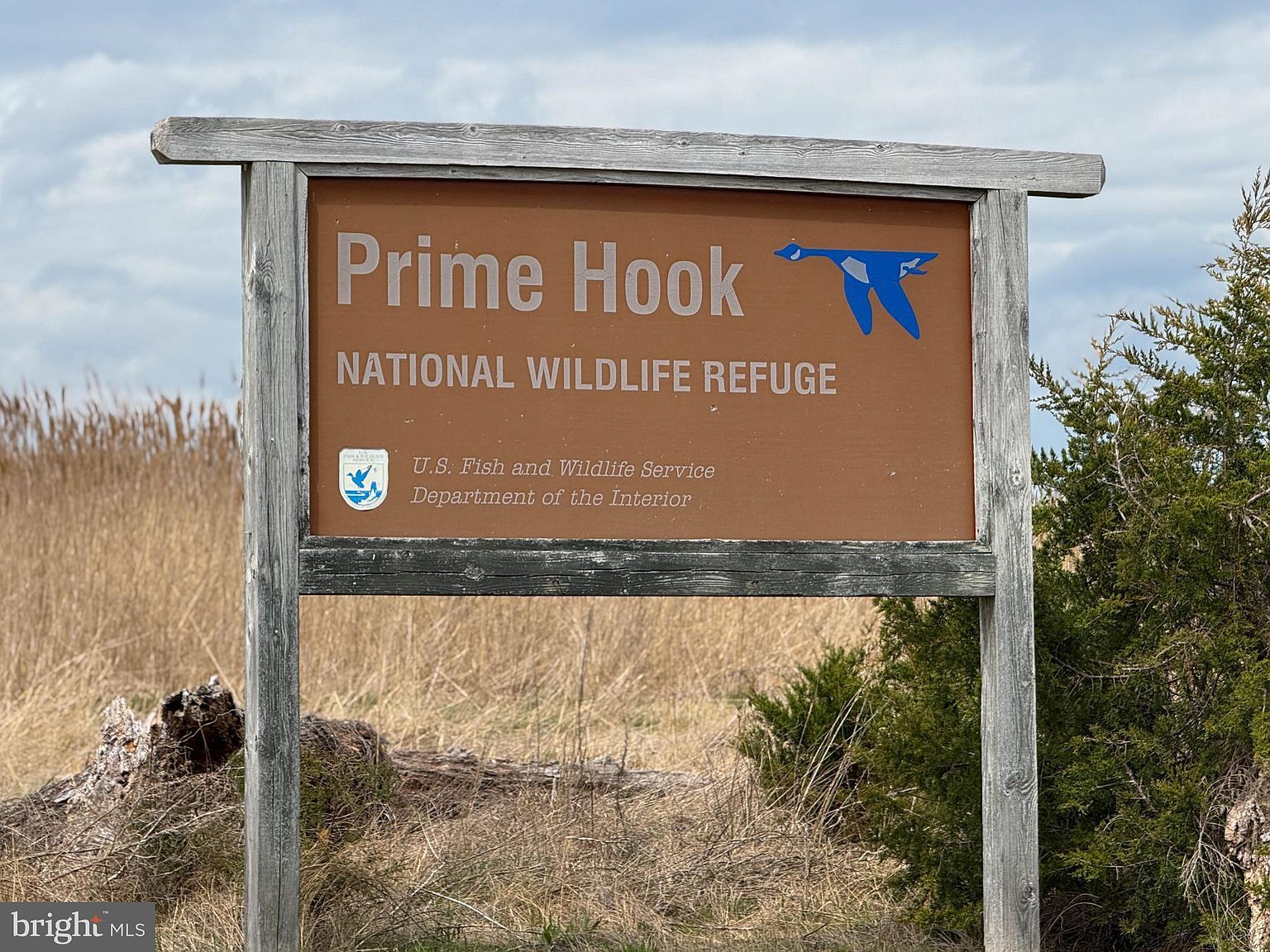 29121 Pine St Milford, DE 19963 - Thumbnail 4