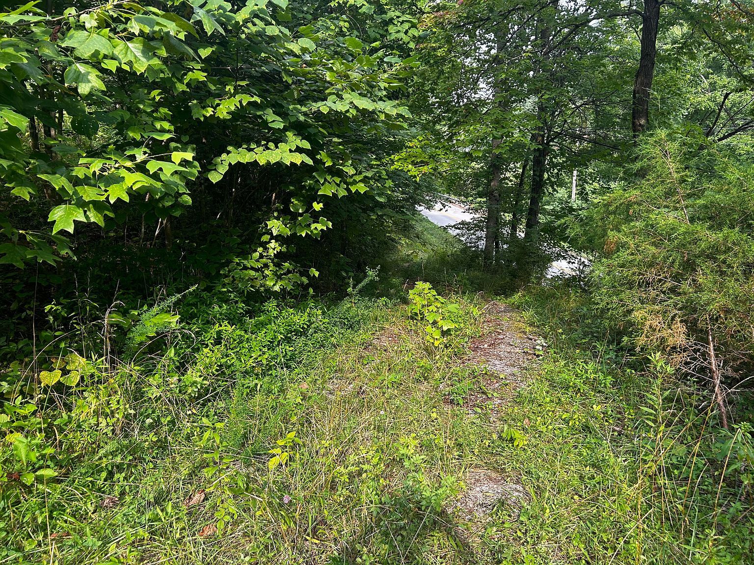 6270 Highway 192 Somerset, KY 42501 - Thumbnail 4