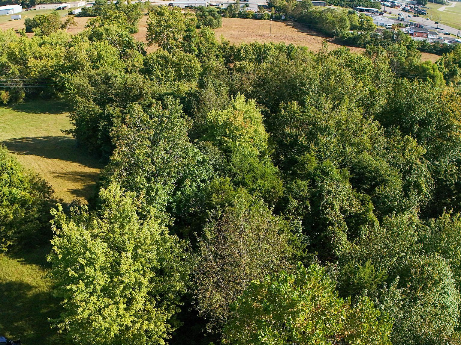 16-17 Jd Kroger Est Somerset, KY 42503 - Thumbnail 4