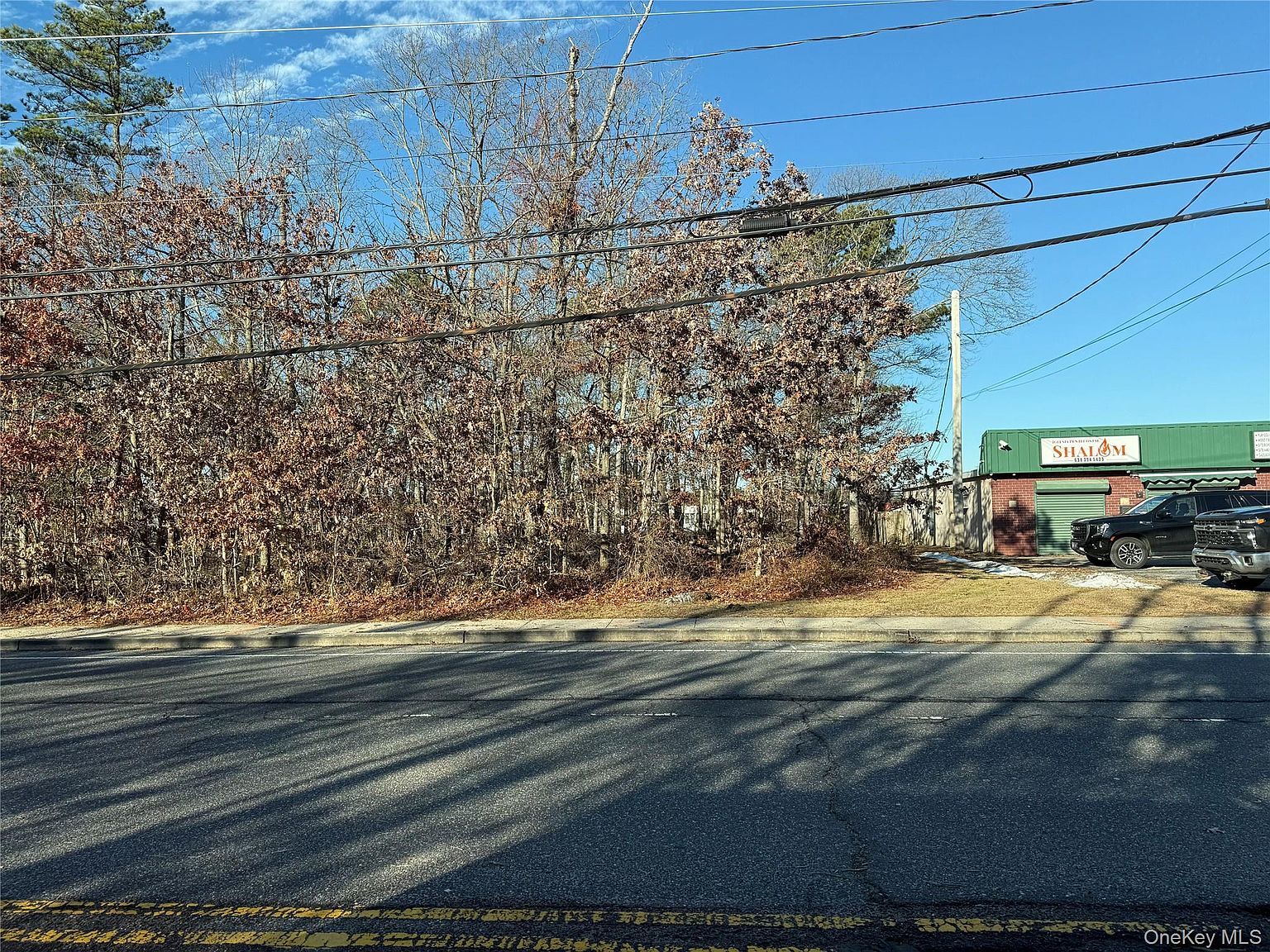 Vacant Land Mastic Rd Shirley, NY 11967 - Thumbnail 4