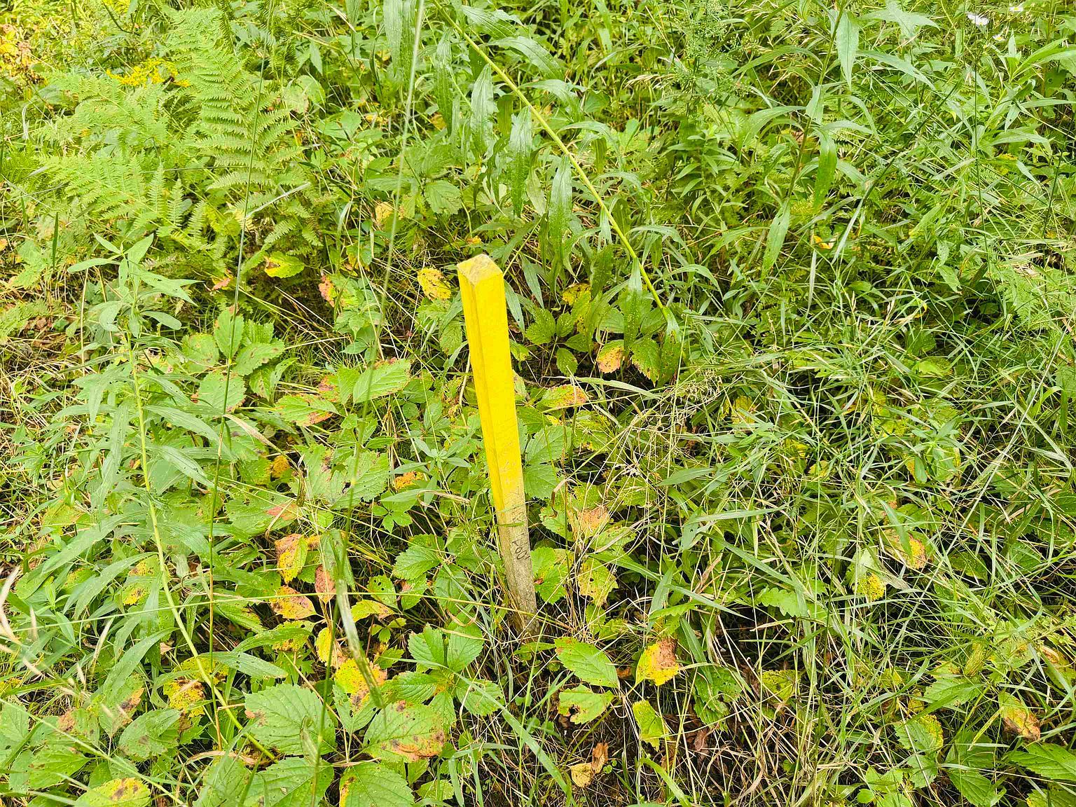 0 Mountain Ave Saint Johnsbury, VT 05819 - Thumbnail 4