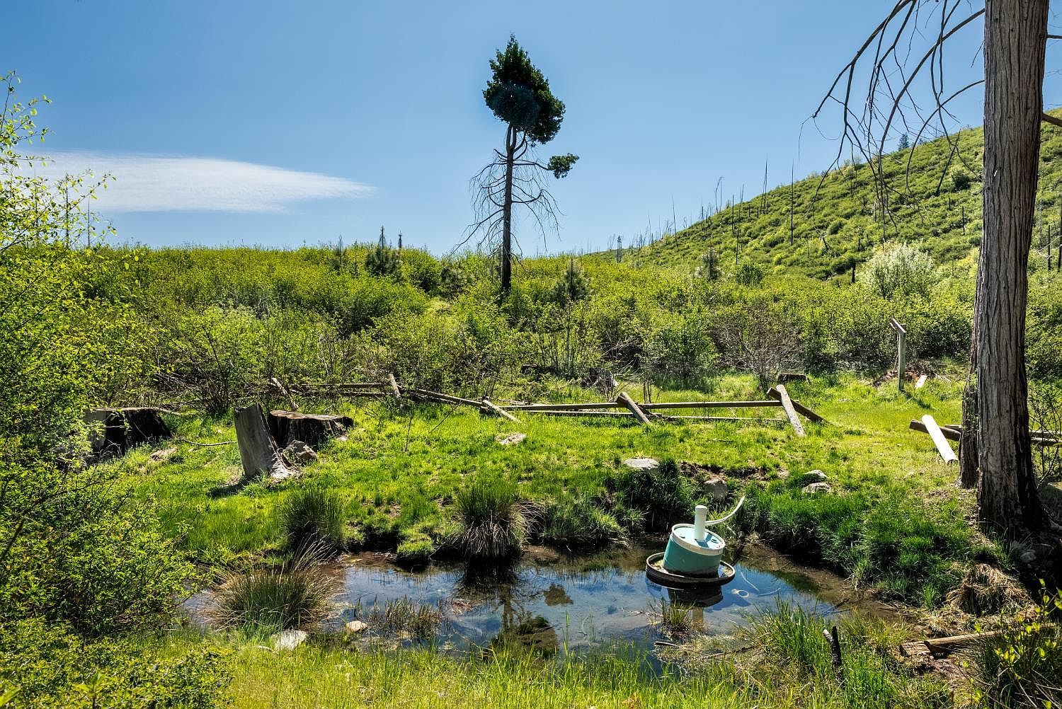 Acres 40 Wentworth Springs Rd Georgetown, CA 95634 - Thumbnail 4