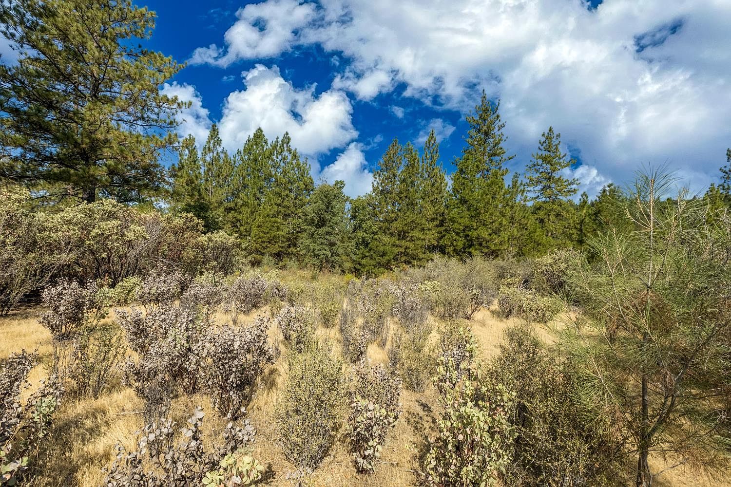 Acres 35 Dos Lagos Ct Pollock Pines, CA 95726 - Thumbnail 4