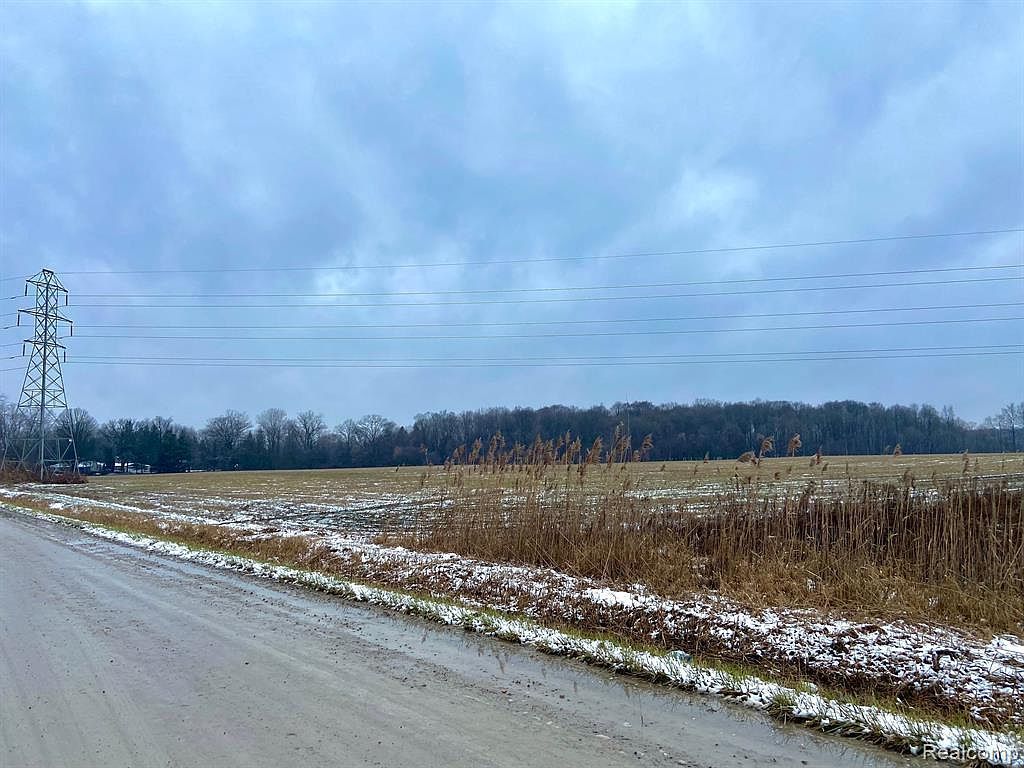 24445 Chapman Rd Macomb, MI 48042 - Thumbnail 4