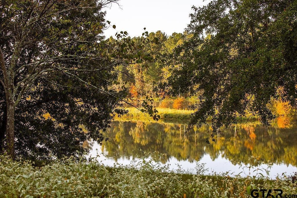 LOT 41 Fm 2015 Tyler, TX 75708 - Thumbnail 4