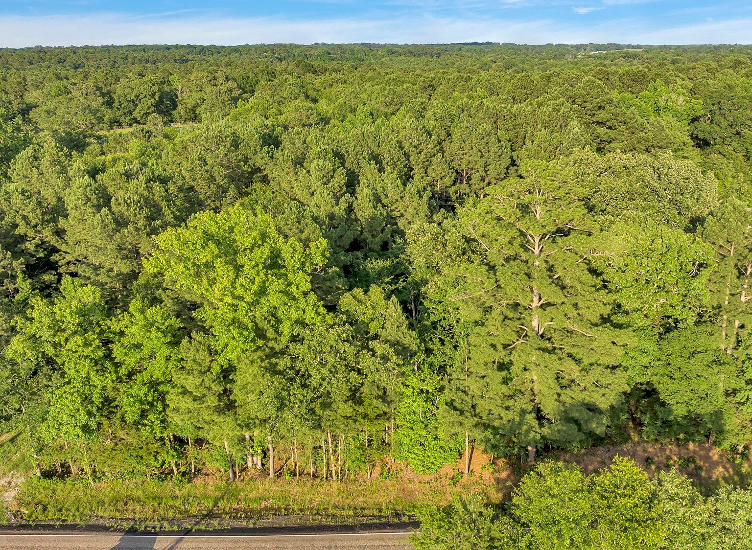 Fm 757 Winona, TX 75792 - Thumbnail 4