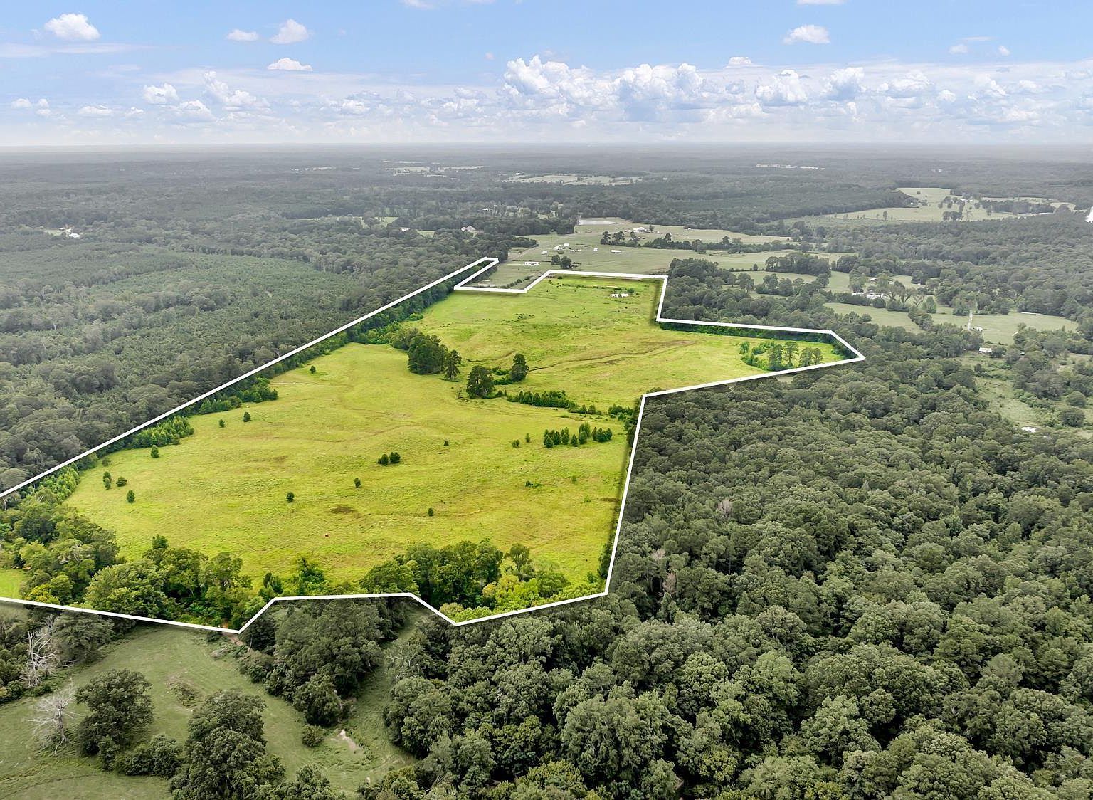 County Road 435 Tenaha, TX 75974 - Thumbnail 4