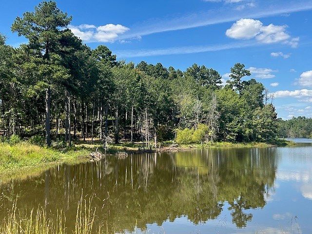 17778 Portside Cir Tyler, TX 75708 - Thumbnail 4