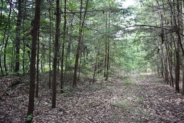 Heyden Ridge Drive, Clarkesville, GA, USA, 30523 - Thumbnail 4