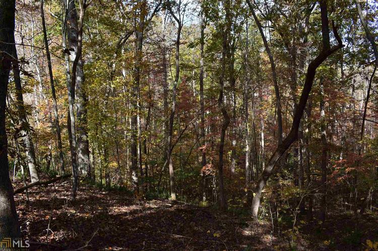 Habersham Landing Drive, Lot 25, Demorest, GA, 30535 - Thumbnail 4