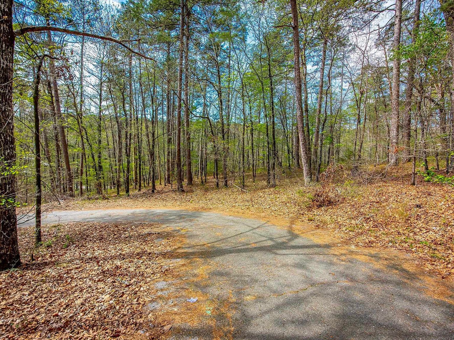 6 Tafalla Pl Hot Springs Village, AR 71909 - Thumbnail 4