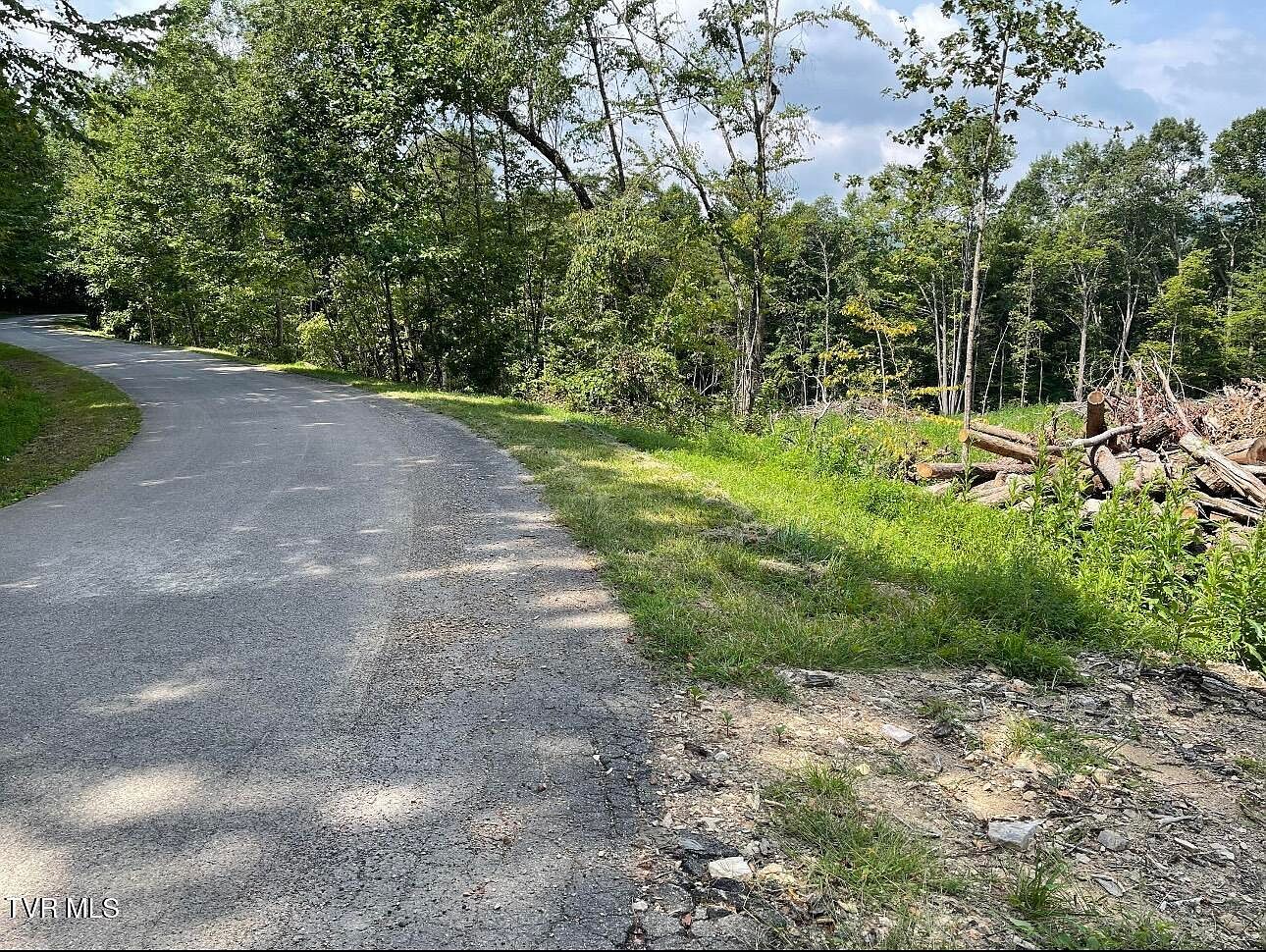 0 Hiddenwood Dr Mountain City, TN 37683 - Thumbnail 4