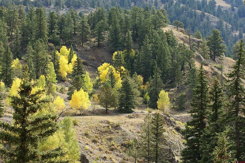 1426 Slumgullion Rd Lake City, CO 81235 - Thumbnail 4