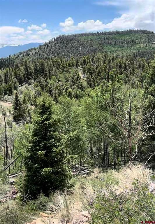 4693 Blue Mesa Dr Powderhorn, CO 81243 - Thumbnail 4