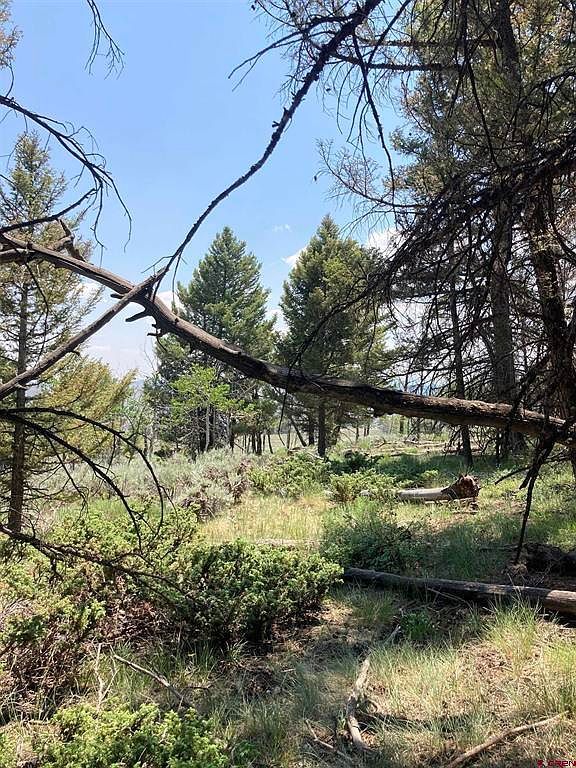 131 Mosquito Trl Powderhorn, CO 81243  | Land/Lot