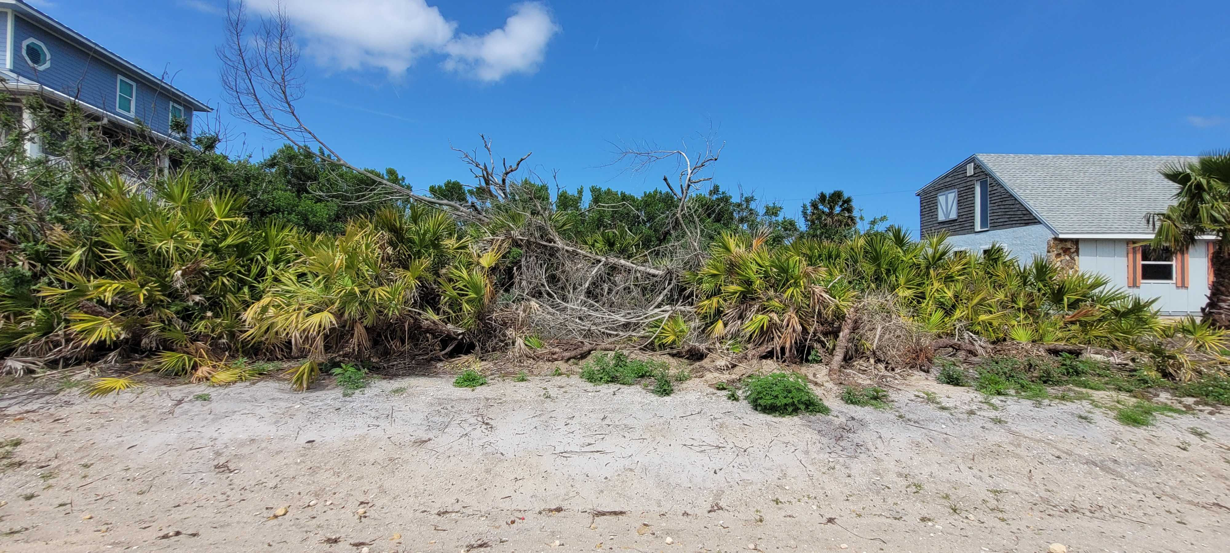 29 Ocean Street, Palm Coast, FL, USA, 32137  | Land/Lot