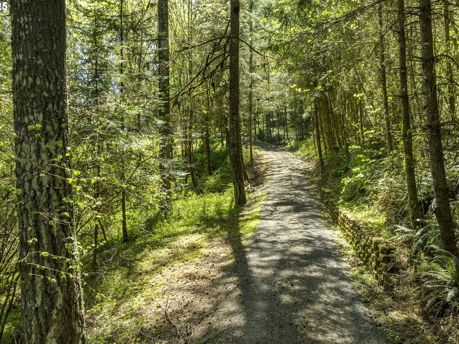 15051 NW Crane Ln Yamhill, OR 97148 - Thumbnail 4