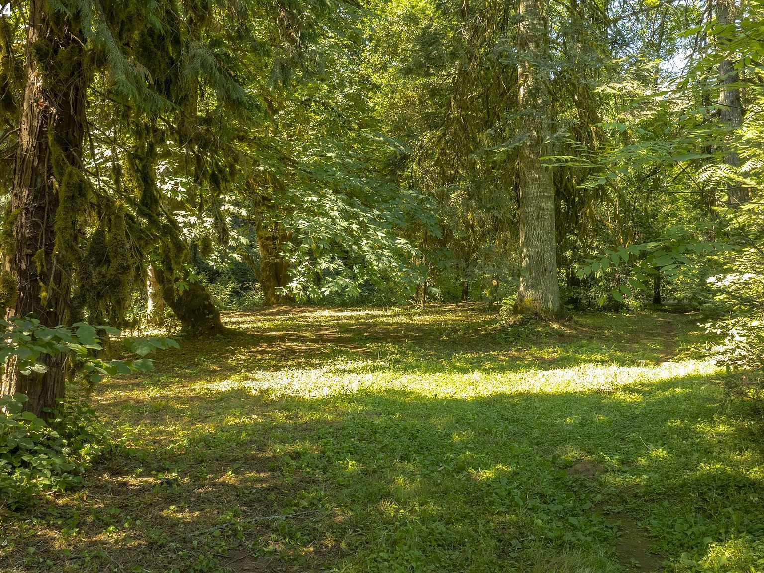 0 NE Williamson Rd Newberg, OR 97132 - Thumbnail 4