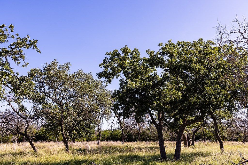 197 NW Rustler Rdg Mountain Home, TX 78058 - Thumbnail 4