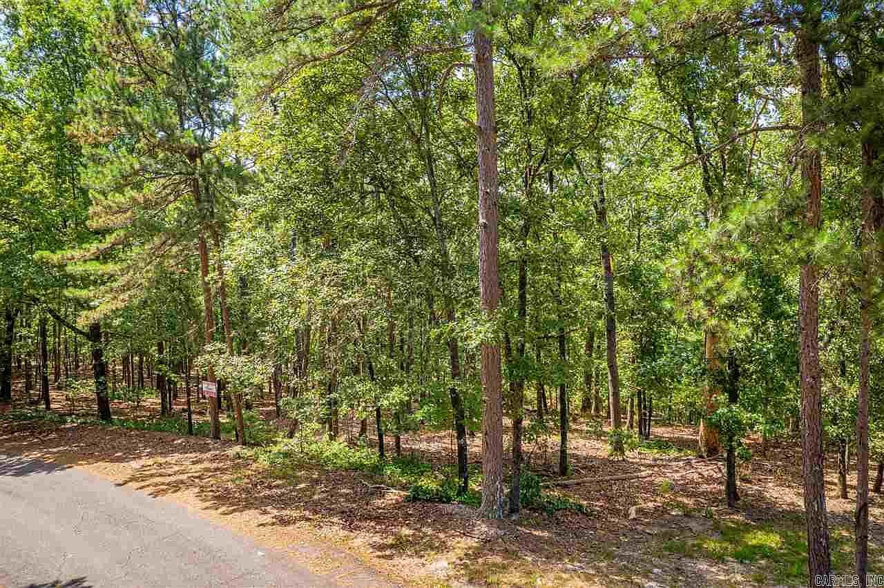 36 La Palabra Way Hot Springs Village, AR 71909 - Thumbnail 4