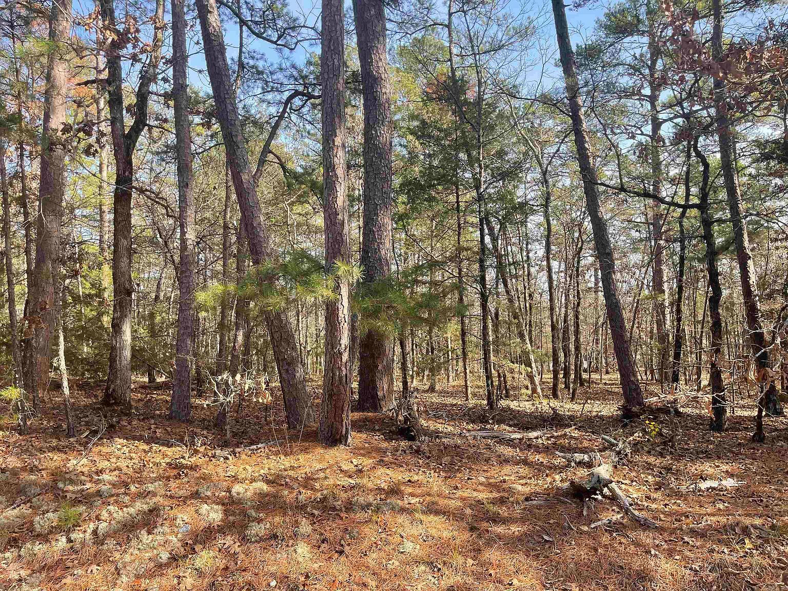 49 Glorieto Way B #L-10-3 Hot Springs Village, AR 71909 - Thumbnail 4