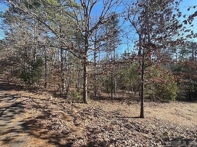 5 Resplandor Ct Hot Springs Village, AR 71909 - Thumbnail 4