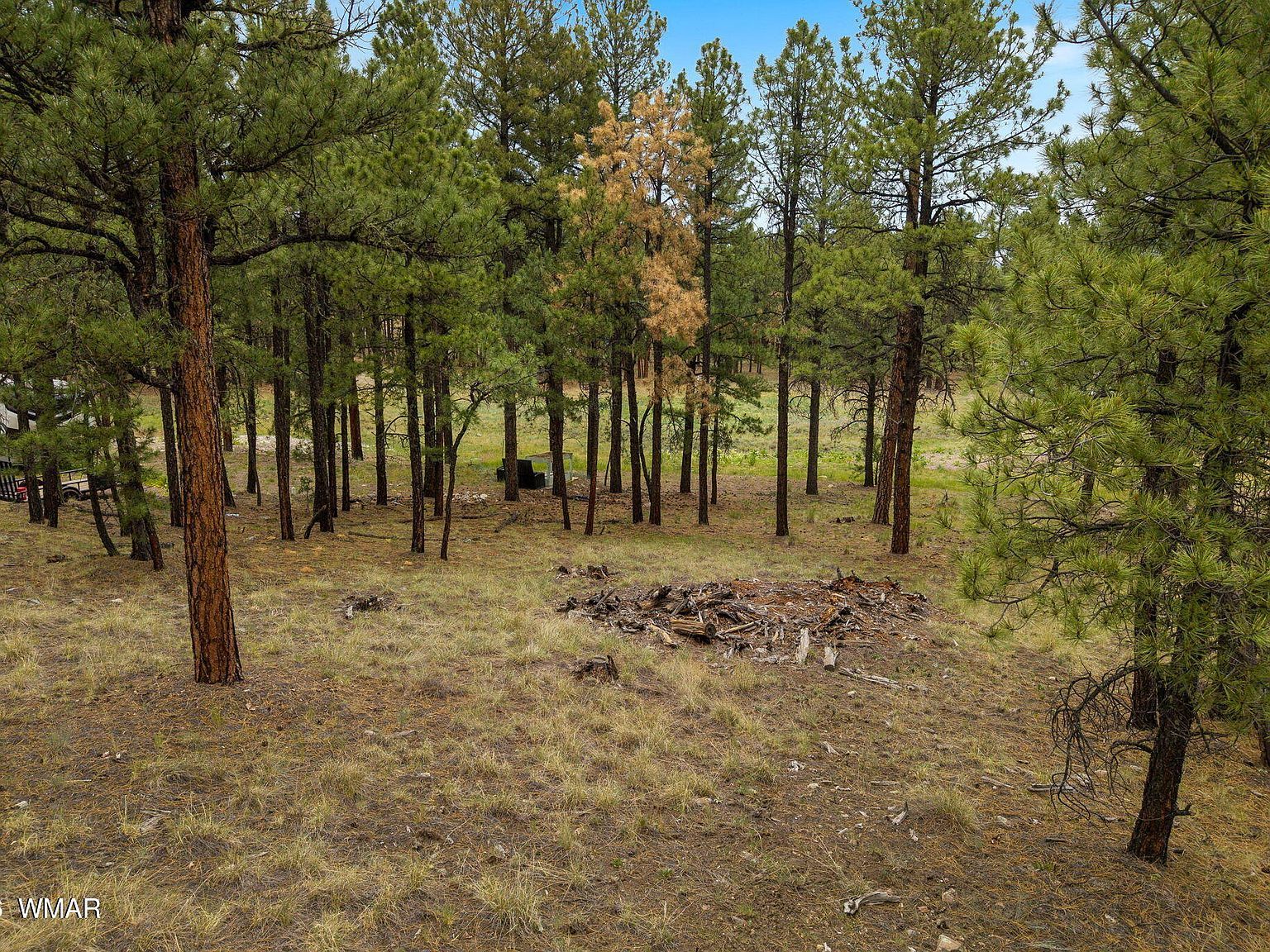 County Road 2121 Alpine, AZ 85920 - Thumbnail 4