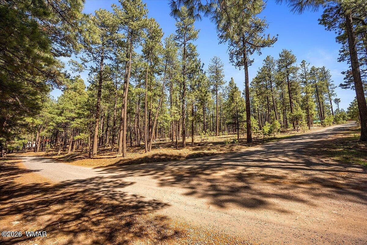 County Road 2325 Alpine, AZ 85920 - Thumbnail 4