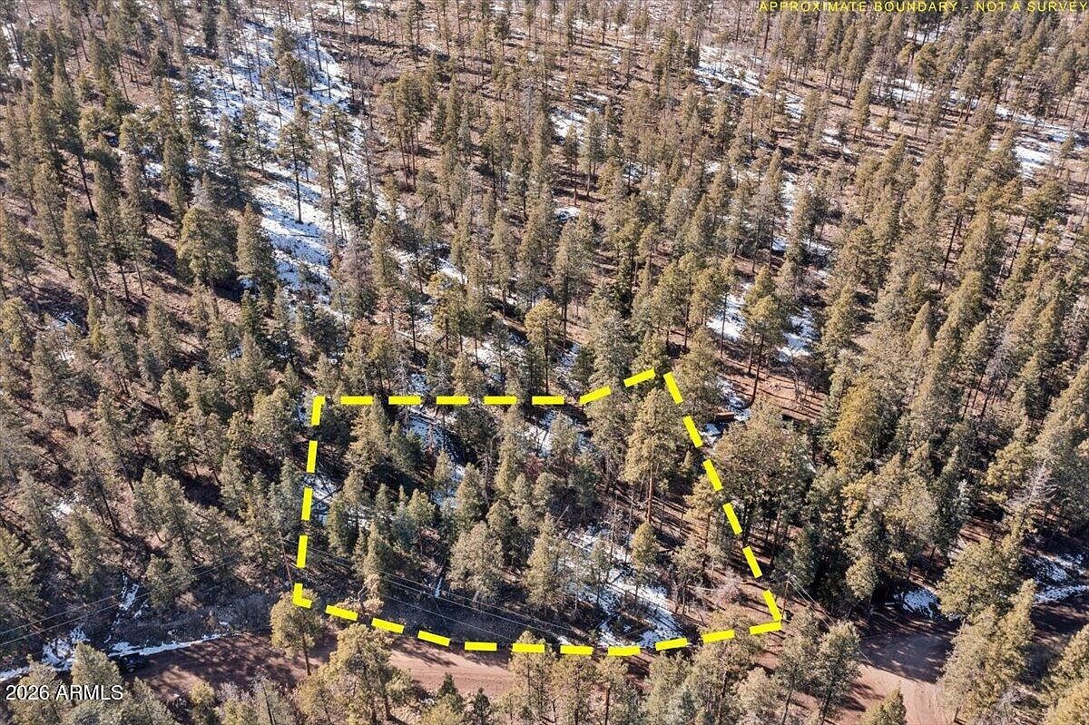 9 County Road 2073 #1 Alpine, AZ 85920 - Thumbnail 4